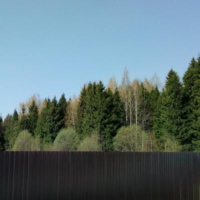весна в Новом Тверитино